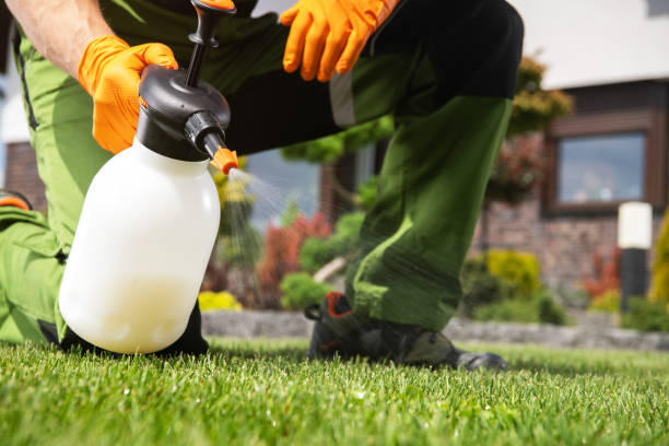 Best Flea Control Services  in Pine Level, NC