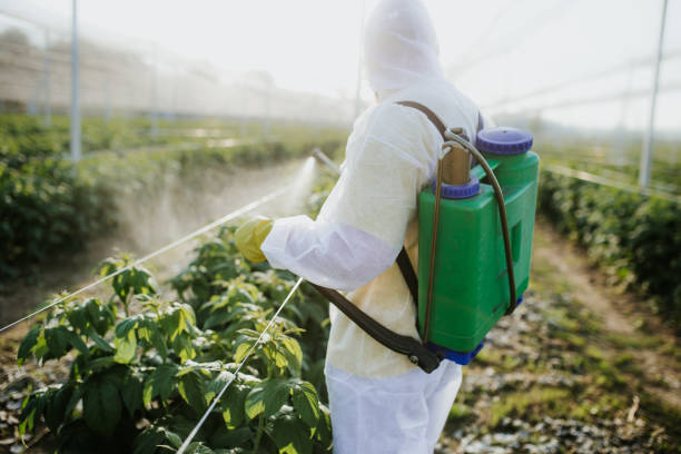 Best Residential Pest Control  in Pine Level, NC